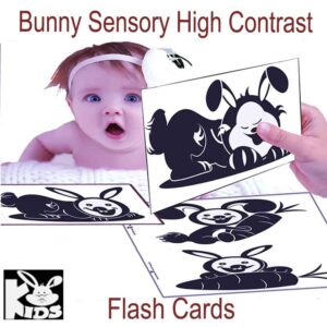 Parenting Bunny Sensory High Contrast Flash Cards