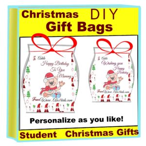 Christmas Diy Gift Bags